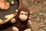 【ドキュメンタル5】ハーモニカ猿で笑わない奴一人もいない説ｗｗｗｗ（画像、動画あり）